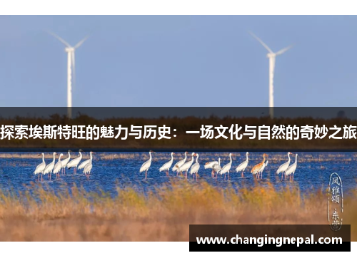 探索埃斯特旺的魅力与历史：一场文化与自然的奇妙之旅